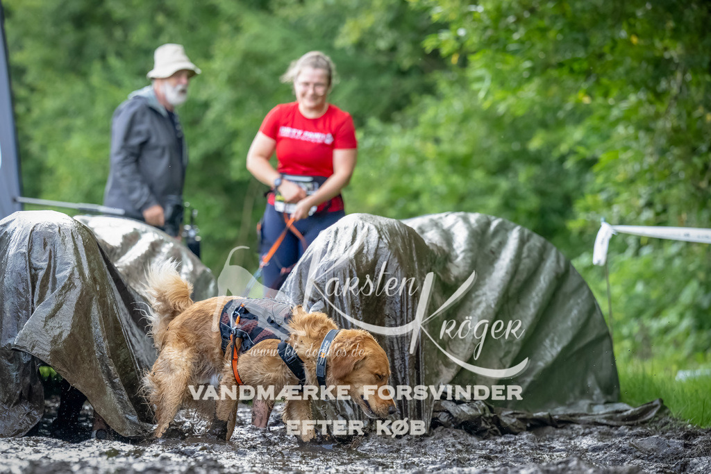 1149_ZZ94403-Bearbeitet | kk-dogfotos