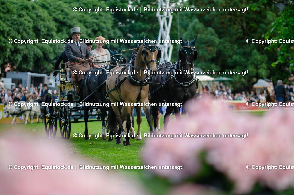 20250606_Lange-Pferdenacht_0116 | Foto: Thomas Hartig