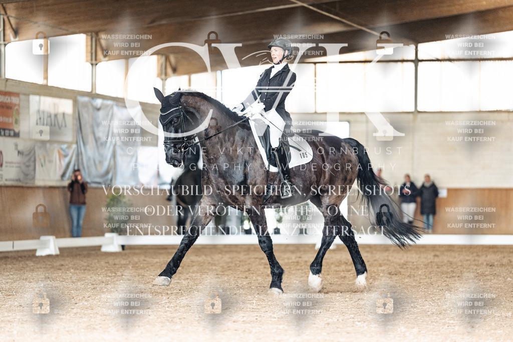 CK902129 | Turnierfotografie Pferdefotografie Trier Rheinland-Pfalz Pferdesport Reitsport Tierfotografie Sportfotografie Pferdevideo Pferdevideografie Equestrianvideography equestrianphotography  - Realized with Pictrs.com