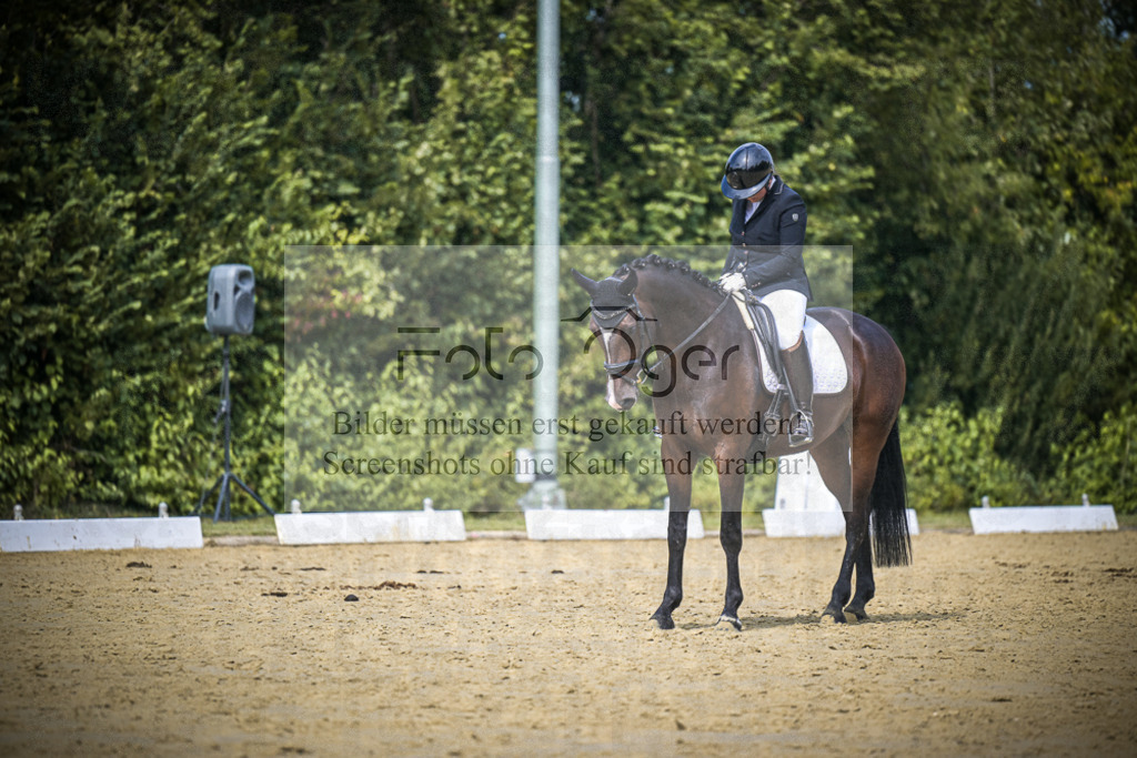 DOS_4256 | Entdecke hochwertige Reitturnierfotos von Foto Oger. Professionell, emotional und authentisch – jetzt Lieblingsmomente im Shop bestellen.Deutschlandweite Turnierfotografie. - Realisiert mit Pictrs.com