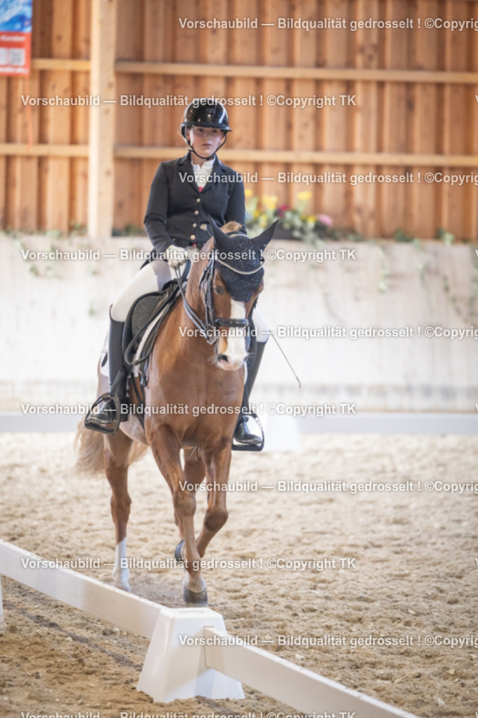 _D5A1973 | Emotionale Pferde- & People-Fotografie rund um Heidelberg, Leimen & Umgebung. Natürliche Fotos von Pferd, Mensch & Familie. Jetzt Termin sichern!