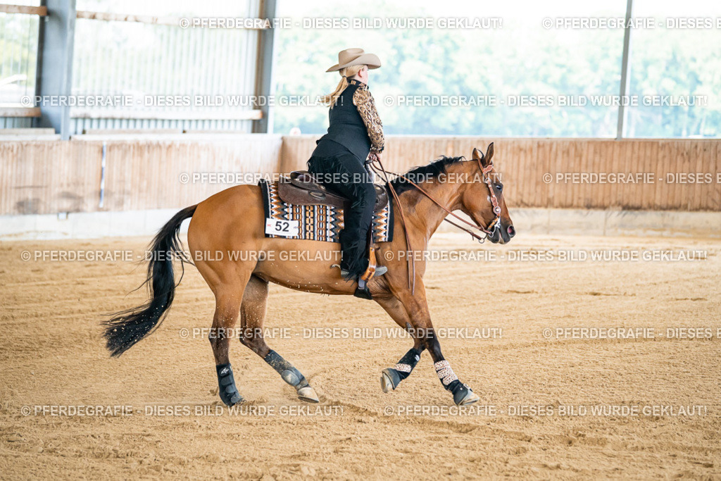 DSC05284 | Pferdegrafie