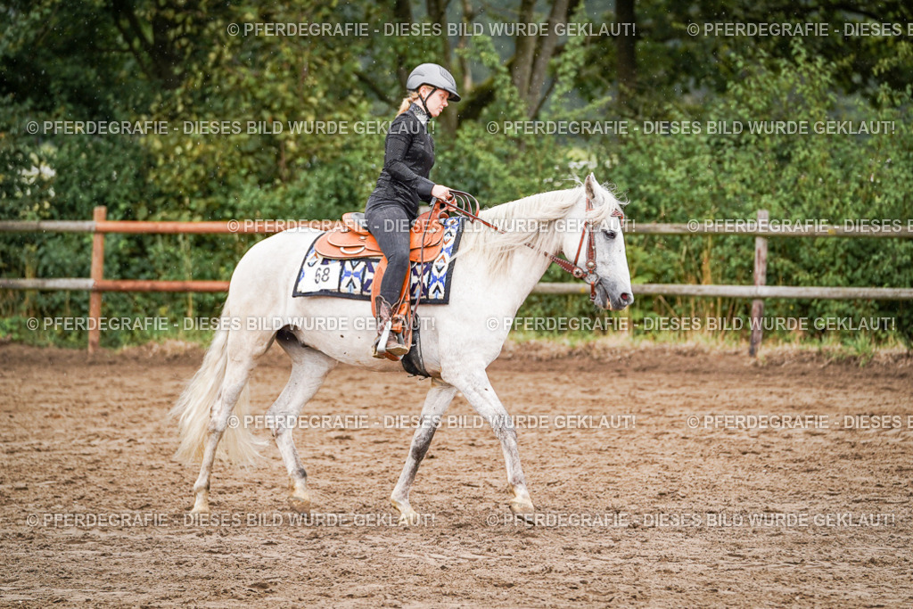 DSC05087 | Pferdegrafie