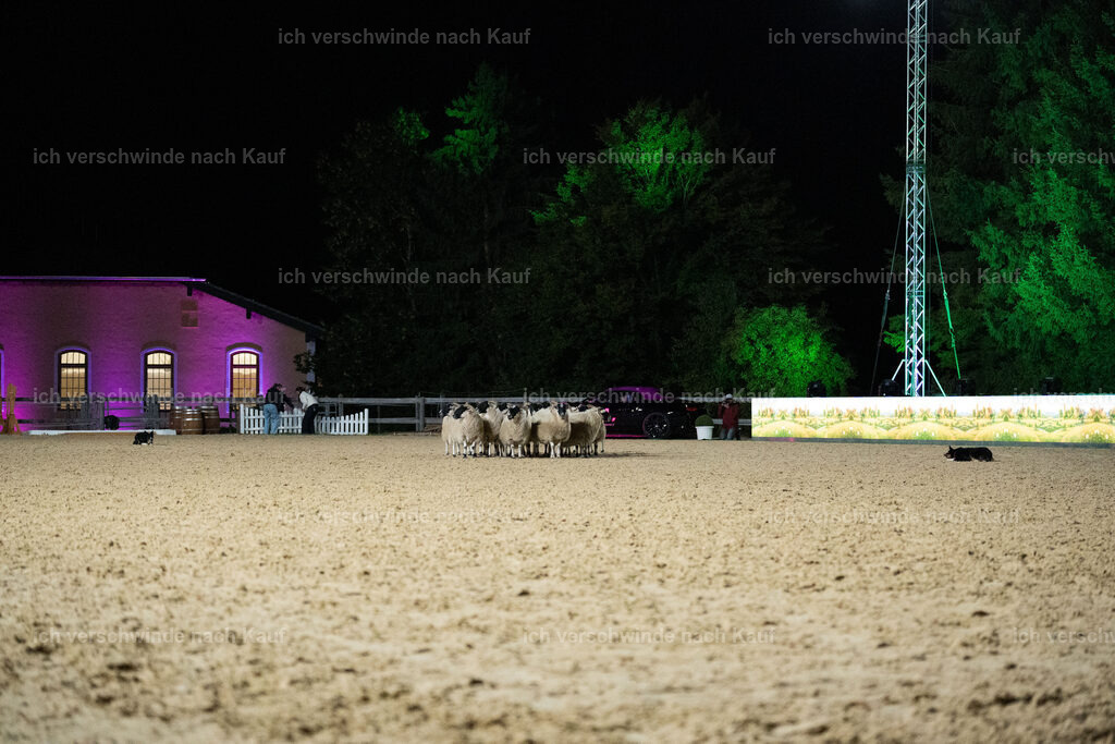 Gala-510 | working equitationturnier fotograf videograf stoibphotography marixx film working equitation deutschland reitsport turnierfotografie eventfotografie equestrian events