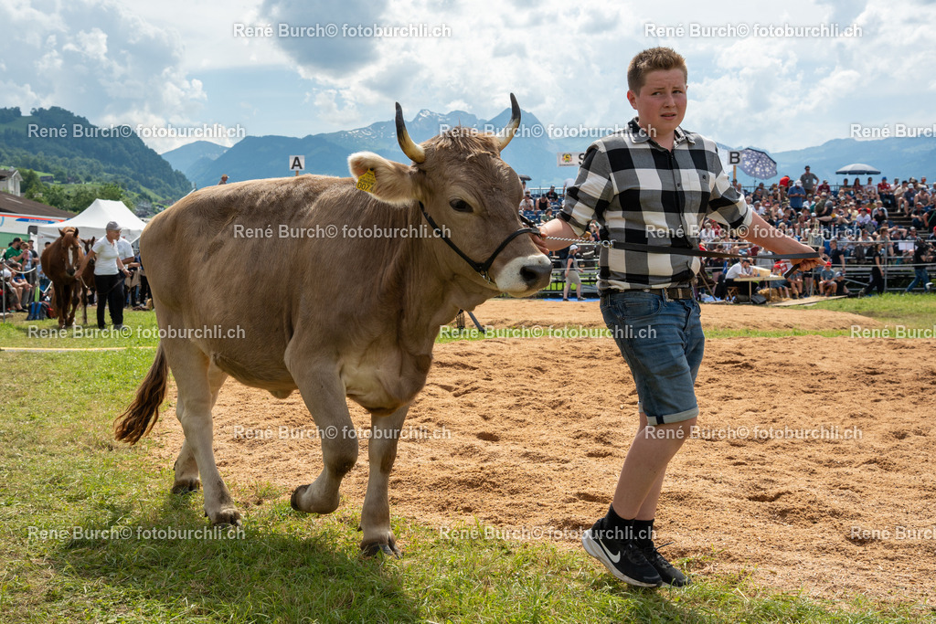 RB_03519 | René Burch leidenschaftlicher Fotograf aus Kerns in Obwalden.  Hier finden sie Sport, Landschaft und Natur Fotografie.
 - Realisiert mit Pictrs.com