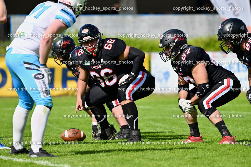 Carinthian Lions vs. Styrian Bears | Carinthian Lions vs. Styrian Bears, Carinthian Lions vs. Styrian Bears am 20.05.2024 in Klagenfurt (ASV Sportplatz), Austria, (Photo by Bernd Stefan)