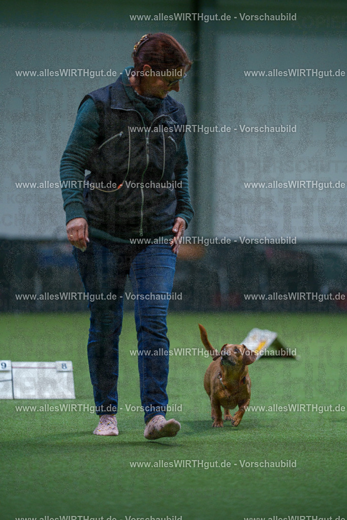 7R501895 | Professionelle Tierfotografie in Mönchengladbach von Daniel Wirth (allesWIRTHgut). Liebevolle & natürliche Bilder von Hunden & Katzen für unvergessliche Erinnerungen.