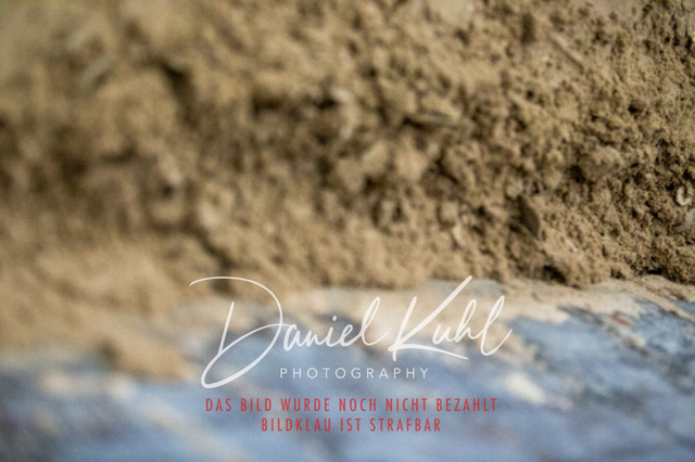 IMG_1717 | Turniersportfotografie; Pferdefotografie; Dressurfotografie