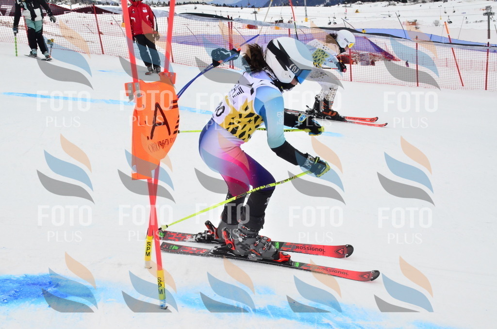 _ELE4116 | holidayphoto