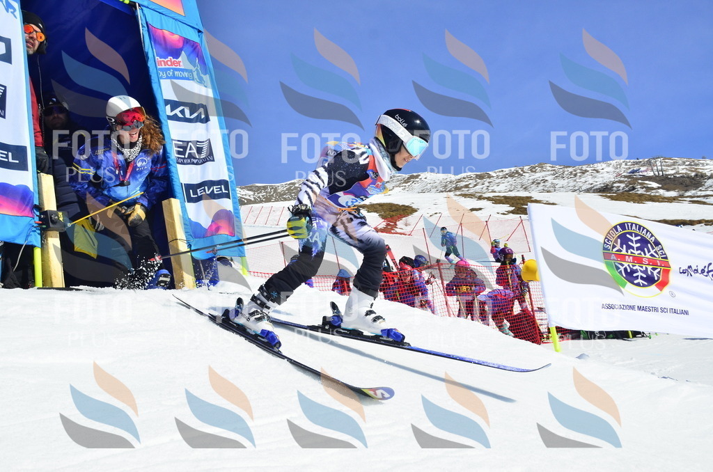 _ELE0030 | holidayphoto