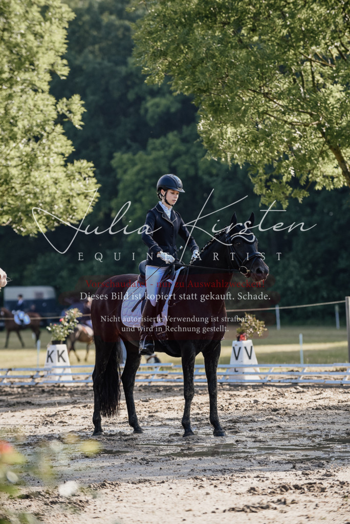 DSC_7784 | Pferde- und Turnierfotografie in Westsachsen. Pferdeportraits, Auftragszeichnungen und intuitive Kunst.