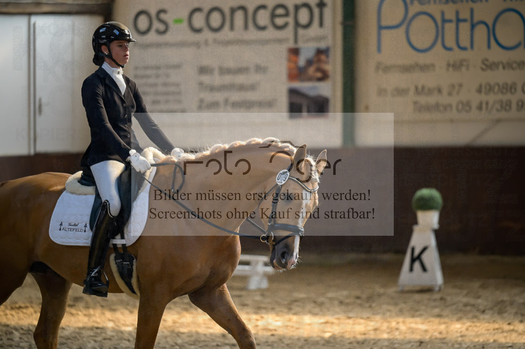 Reitturnier Voxtrup | Entdecke hochwertige Reitturnierfotos von Foto Oger. Professionell, emotional und authentisch – jetzt Lieblingsmomente im Shop bestellen.Deutschlandweite Turnierfotografie. - Realisiert mit Pictrs.com
