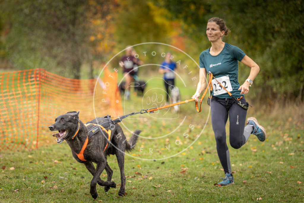 Pfotenfotografie_DV3A4737 | Hundefotografie, Tierfotograf, Pfotenfotografie, Fotoshooting Hund, Hunde Portrait, Hundesport, Hundeportraits, Heideshooting, Hunde, Sportfotograf, Hundefotograf, Turnierhundsport, THS,  - Realisiert mit Pictrs.com