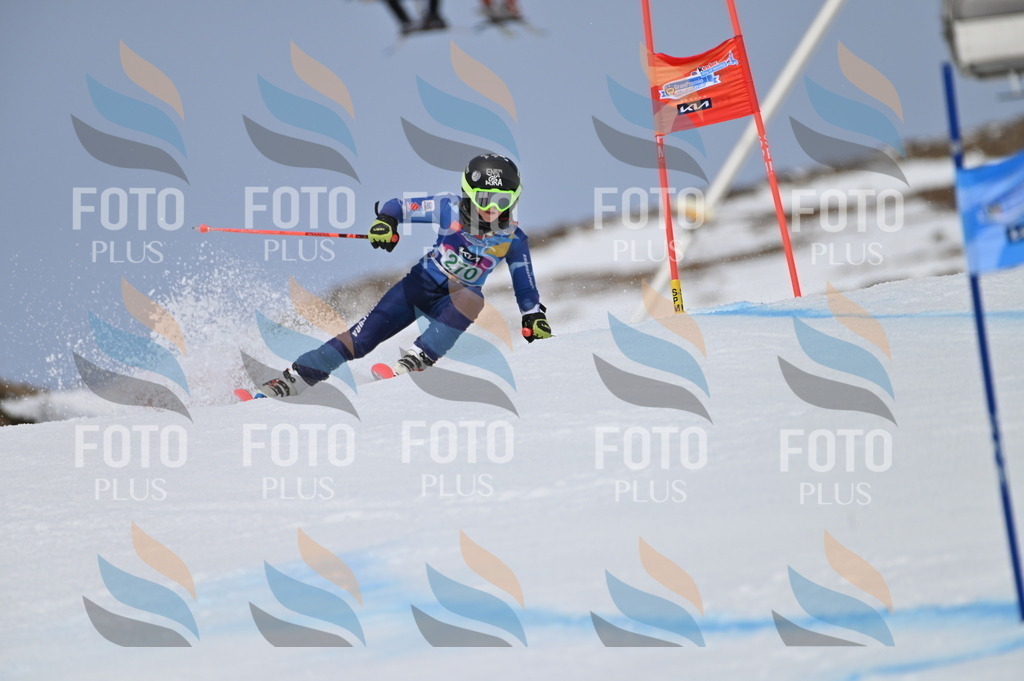 BGV_5334 | holidayphoto