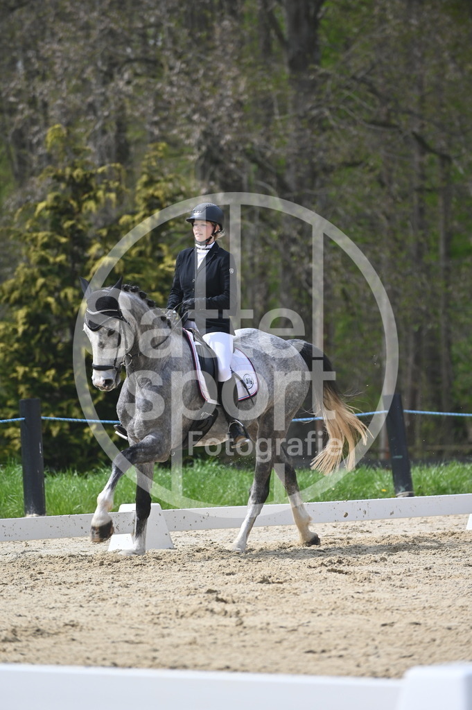 DSC_3597 | sattelsport - Realisiert mit Pictrs.com