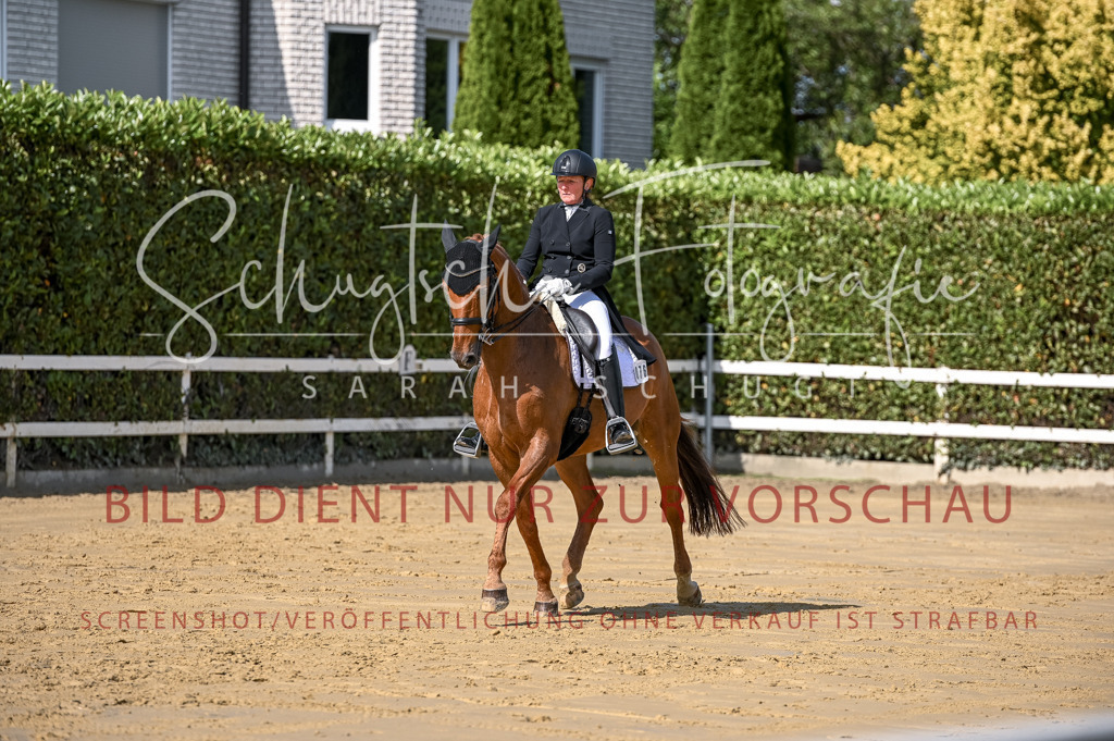 Schugtsche-Aluta25-58. Dressurprf.S1Kand.St.GeorgSpecial-308 | Schugtsche Fotografie - Realisiert mit Pictrs.com