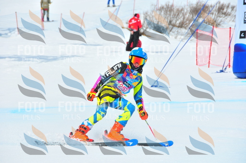 DSC_6147 | holidayphoto