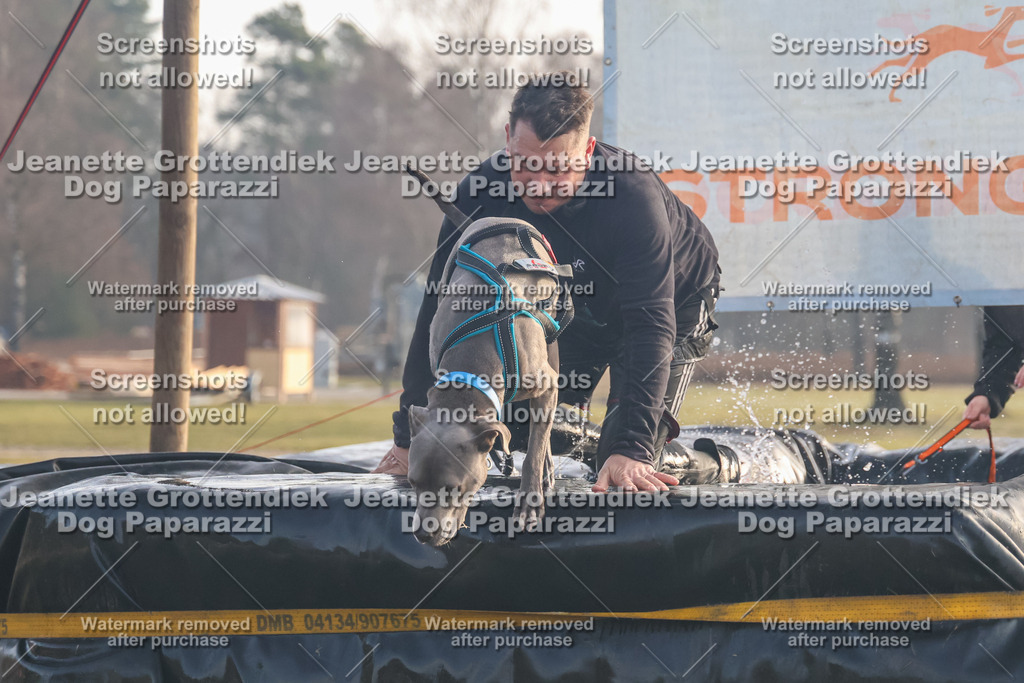 Dog Paparazzi - SD North Sa 830-900-150 | Dog Paparazzi Jeanette Grottendiek Fotografie & Videografie - Realisiert mit Pictrs.com