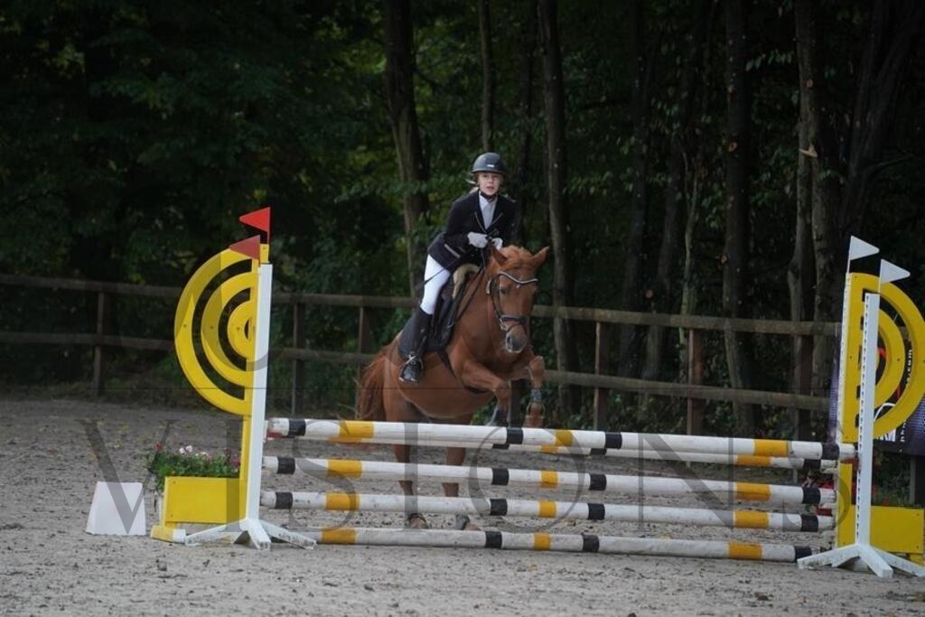 rveinoedsonntag (85) | d.tail Visions - Shop - Realisiert mit Pictrs.com