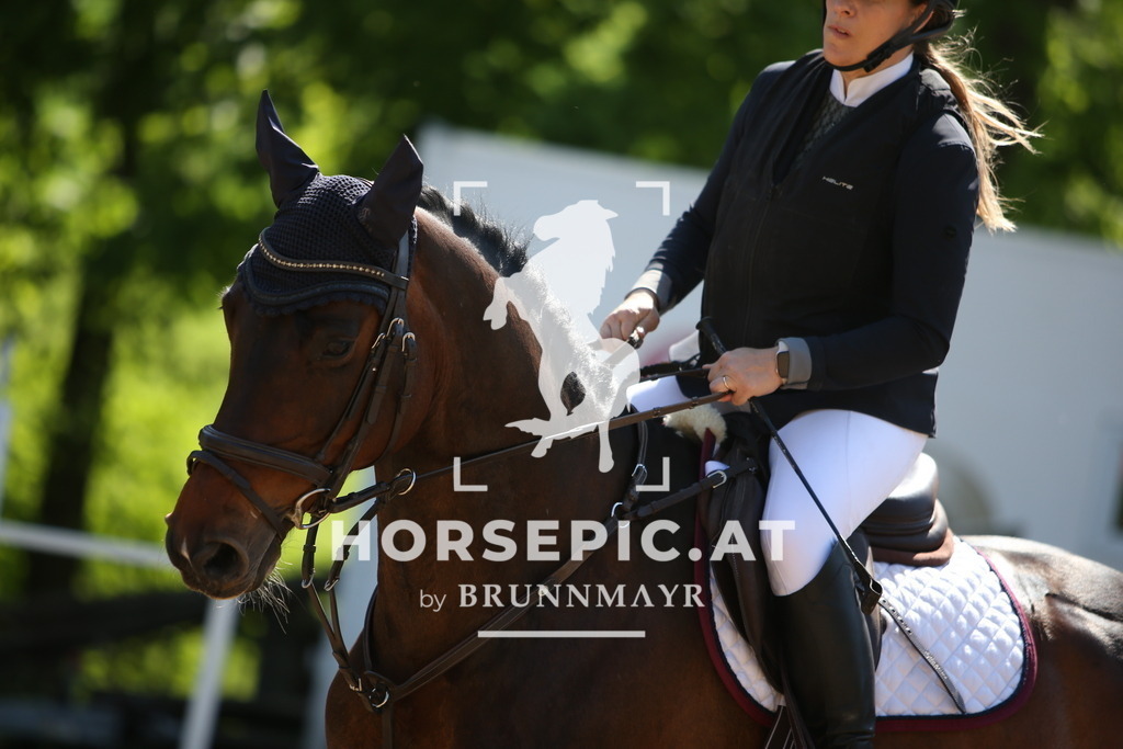 PP010095 | Willkommen bei Brunnmayr - Design & Fotografie – Ihrem Spezialisten für Reitturniere und Pferdeveranstaltungen in Oberösterreich, Salzburg und Bayern! Seit über 17 Jahren sind wir leidenschaftlich dabei.