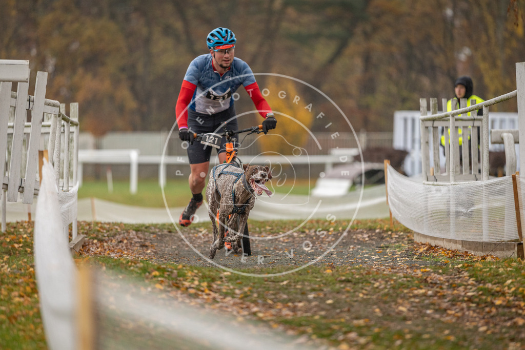 CaniXpix_DV3A8250 | Hundefotografie, Tierfotograf, Pfotenfotografie, Fotoshooting Hund, Hunde Portrait, Hundesport, Hundeportraits, Heideshooting, Hunde, Sportfotograf, Hundefotograf, Turnierhundsport, THS,  - Realisiert mit Pictrs.com