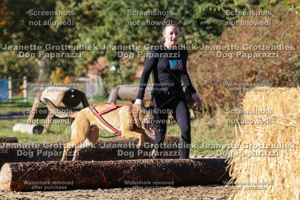 Dog Paparazzi - Strongdog 10-25-1587 | Dog Paparazzi Jeanette Grottendiek Fotografie & Videografie - Realisiert mit Pictrs.com