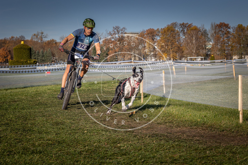 CaniXpix_0L8A5222 | Hundefotografie, Tierfotograf, Pfotenfotografie, Fotoshooting Hund, Hunde Portrait, Hundesport, Hundeportraits, Heideshooting, Hunde, Sportfotograf, Hundefotograf, Turnierhundsport, THS,  - Realisiert mit Pictrs.com