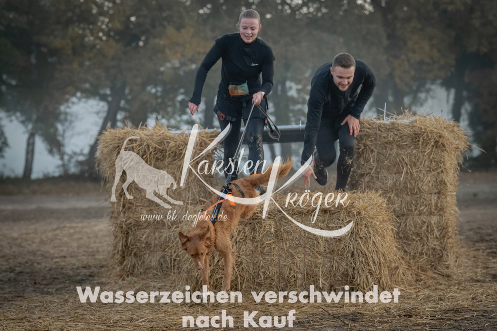 0816_ZZ97579 | kk-dogfotos