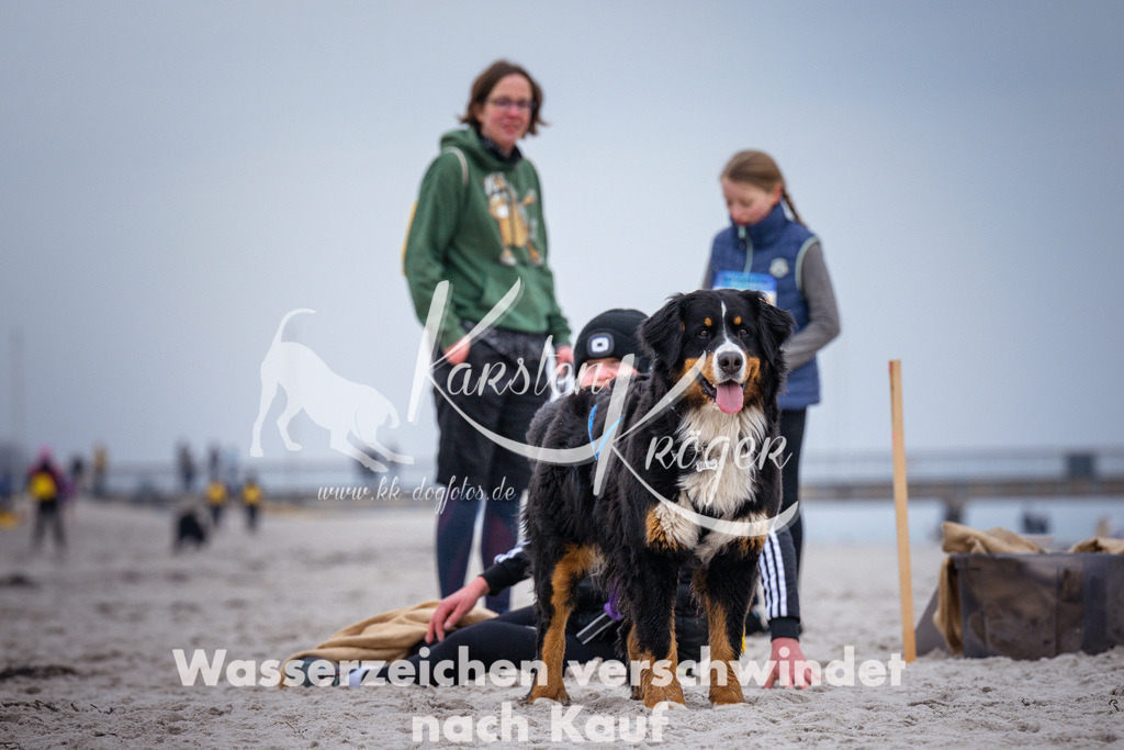 1223_ZZ93922 | kk-dogfotos