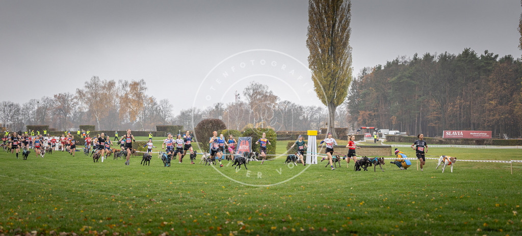 CaniXpix_DV3A8717 | Hundefotografie, Tierfotograf, Pfotenfotografie, Fotoshooting Hund, Hunde Portrait, Hundesport, Hundeportraits, Heideshooting, Hunde, Sportfotograf, Hundefotograf, Turnierhundsport, THS,  - Realisiert mit Pictrs.com