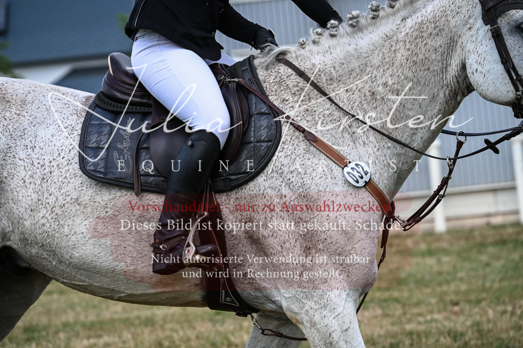DSC_8353 | Pferde- und Turnierfotografie in Westsachsen. Pferdeportraits, Auftragszeichnungen und intuitive Kunst.