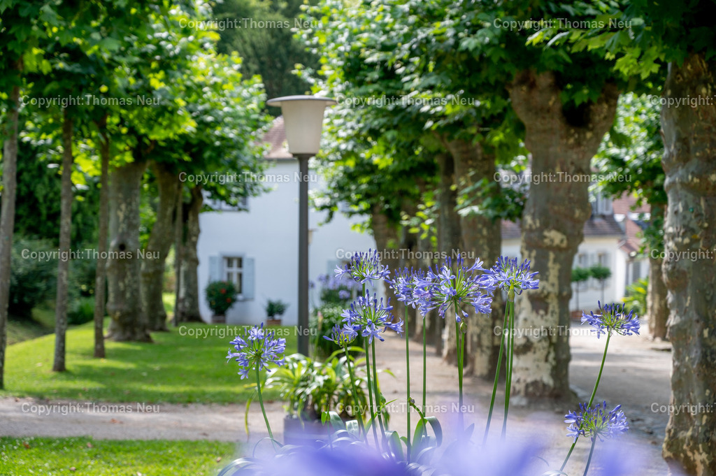 DSC_2602 | Der Staatspark Fürstenlager in Bensheim Auerbach, an der hessischen Bergstraße- ist ein wunderschöner Landschaftspark nach englischen Vorbild. Es war die Sommerresidenz der Darmstädter Fürstenfamilie die hier das "einfache Landleben" genossen. Zu jeder Jahreszeit kann man das Fürstenlager als Ausflugsziel empfehlen. Im Herrenhaus ist eine Gastronomie untergebracht. Im Sommer findet auf der Bühne vor der großen Wiese ein Opern-Air statt, 