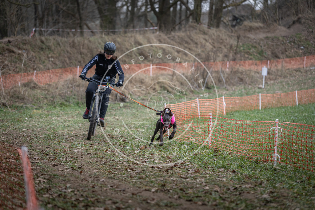 Pfotenfotografie_DV3A9586 | Hundefotografie, Tierfotograf, Pfotenfotografie, Fotoshooting Hund, Hunde Portrait, Hundesport, Hundeportraits, Heideshooting, Hunde, Sportfotograf, Hundefotograf, Turnierhundsport, THS,  - Realisiert mit Pictrs.com