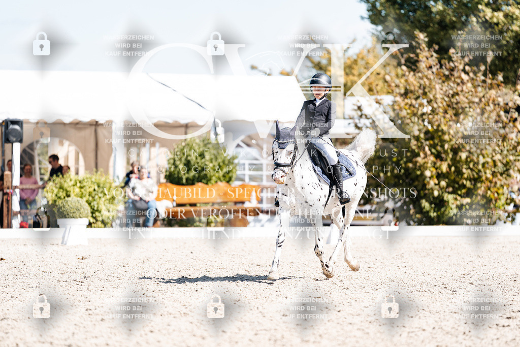 CK904130 | Turnierfotografie Pferdefotografie Trier Rheinland-Pfalz Pferdesport Reitsport Tierfotografie Sportfotografie Pferdevideo Pferdevideografie Equestrianvideography equestrianphotography  - Realisiert mit Pictrs.com