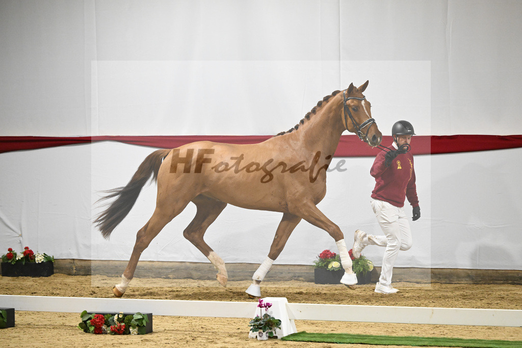Kat-Nr. 52 v. Vivino_ZG Syha u Winkler_63221433 | hf-fotografie - Realizzato con Pictrs.com