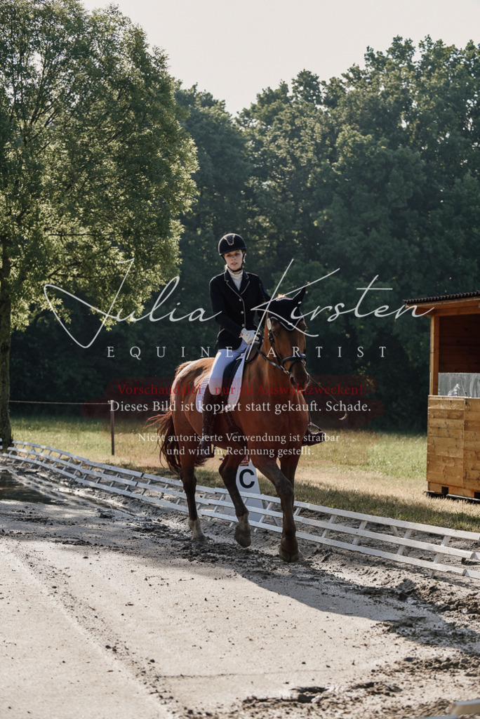 DSC_7690 | Pferde- und Turnierfotografie in Westsachsen. Pferdeportraits, Auftragszeichnungen und intuitive Kunst.