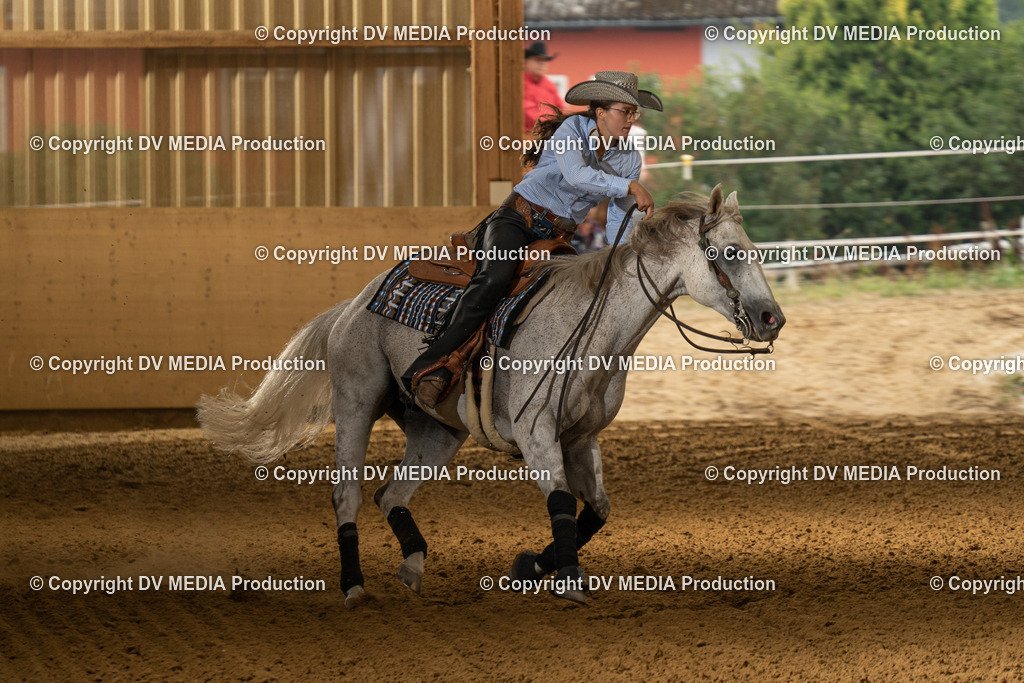 LAU00946 | dv-media-shop - Realisiert mit Pictrs.com