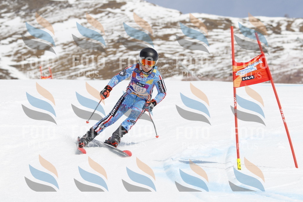 _U3G1895 | holidayphoto