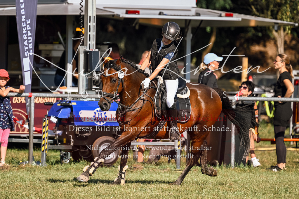 DSC_5233 | Pferde- und Turnierfotografie in Westsachsen. Pferdeportraits, Auftragszeichnungen und intuitive Kunst.