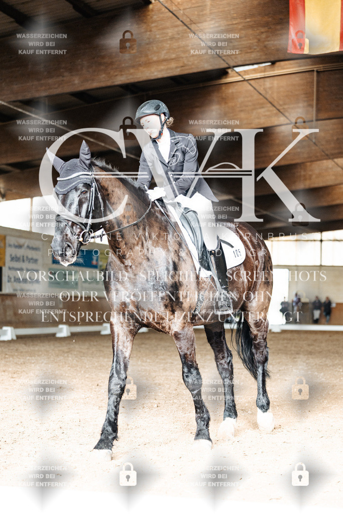 CK902170 | Turnierfotografie Pferdefotografie Trier Rheinland-Pfalz Pferdesport Reitsport Tierfotografie Sportfotografie Pferdevideo Pferdevideografie Equestrianvideography equestrianphotography  - Realisiert mit Pictrs.com