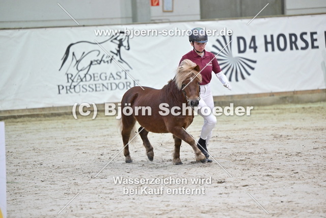 24_Butschmann - Bel Ami_963_0495 | Björn Schroeder Pferdefotografie