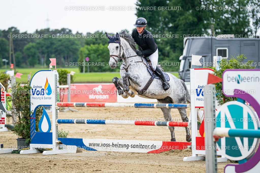 DSC05923 | Pferdegrafie