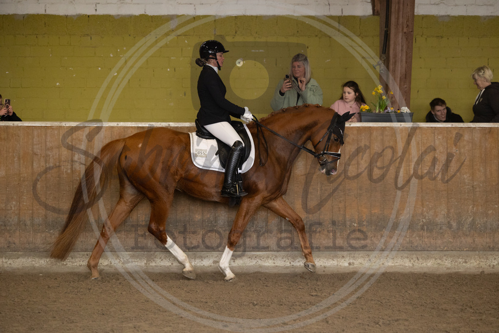 994A9034 | sabrinanicolaifotografie - Realisiert mit Pictrs.com