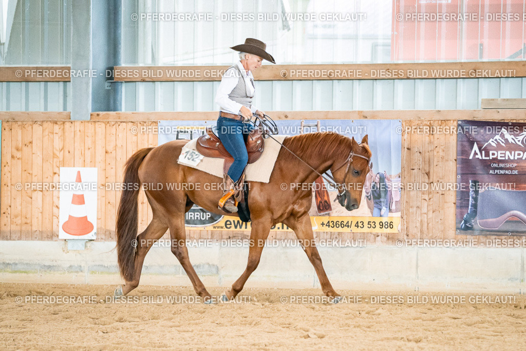 DSC00239 | Pferdegrafie