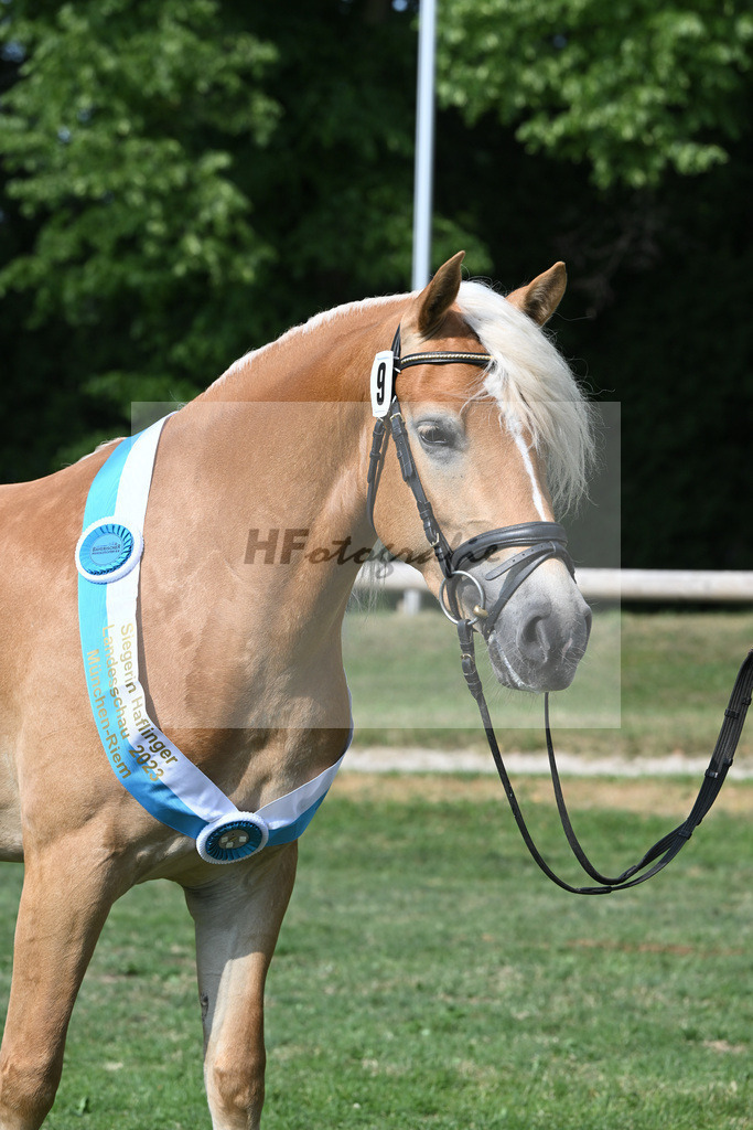 Kat-Nr. 9 Giorgia G_Grandauer_20231780 | hf-fotografie - Realisiert mit Pictrs.com