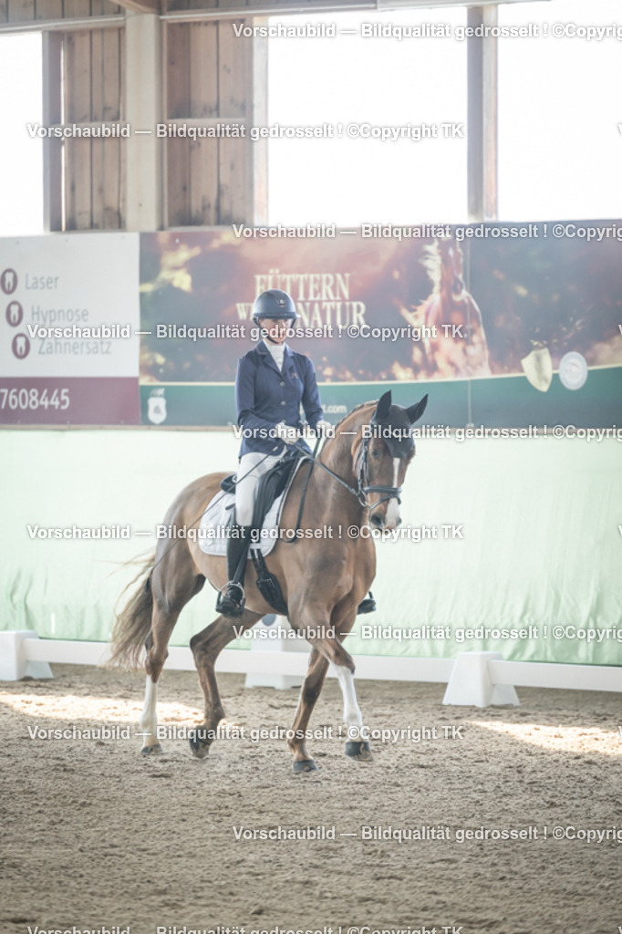 _D5A0585 | Emotionale Pferde- & People-Fotografie rund um Heidelberg, Leimen & Umgebung. Natürliche Fotos von Pferd, Mensch & Familie. Jetzt Termin sichern!