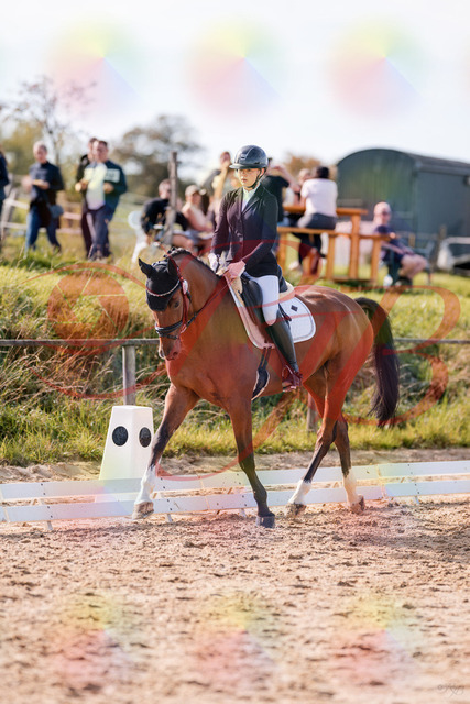 2026_10_03_Siefer-Hof_131528_Z81_63738514 | Professionelle Reitsport-, Turnier- und Eventfotografie von Robert Broda. Galerien mit ausgewählten und bearbeiteten Bildern direkt online ansehen und bestellen.