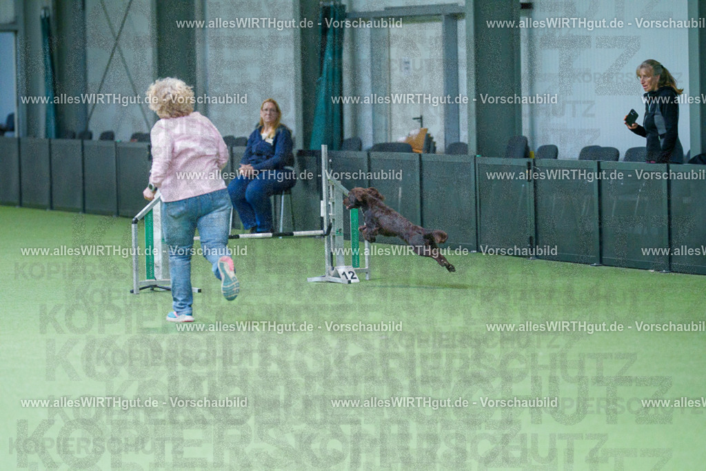 @allesWIRTHgut_Tierfotografie - www.allesWIRTHgut.de - 2604260827-7R506937 | Professionelle Tierfotografie in Mönchengladbach von Daniel Wirth (allesWIRTHgut). Liebevolle & natürliche Bilder von Hunden & Katzen für unvergessliche Erinnerungen.