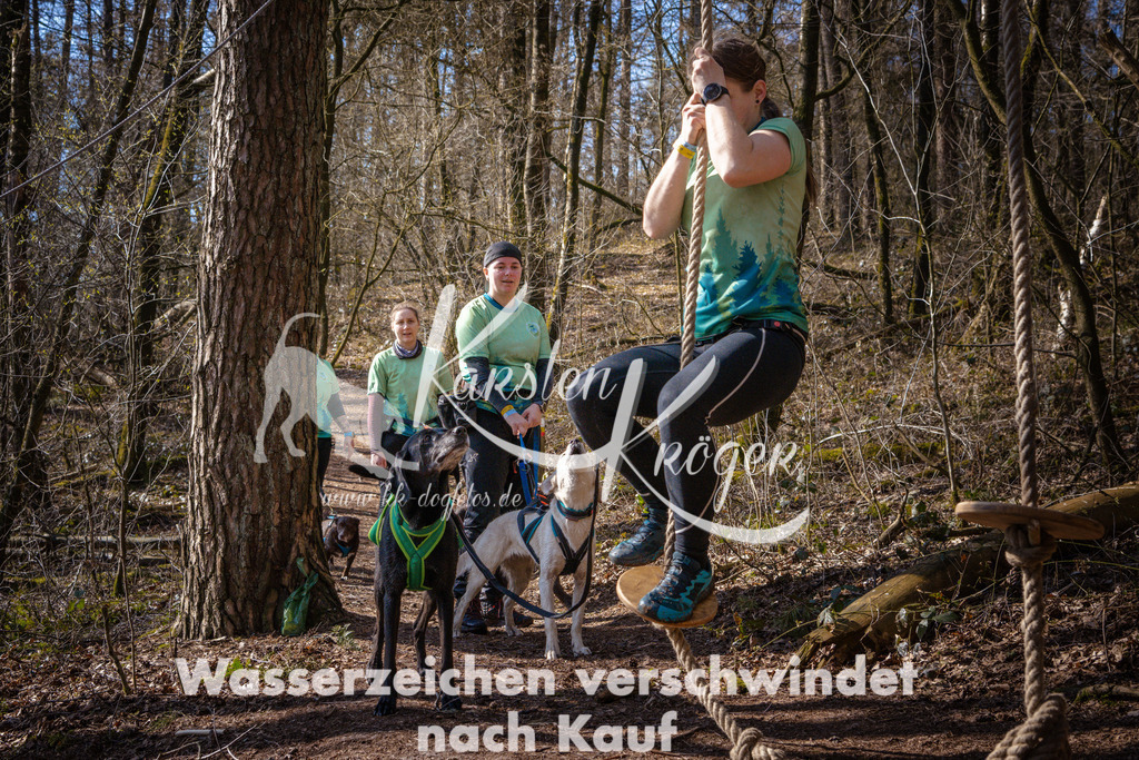 1119_ZZ97508 | kk-dogfotos