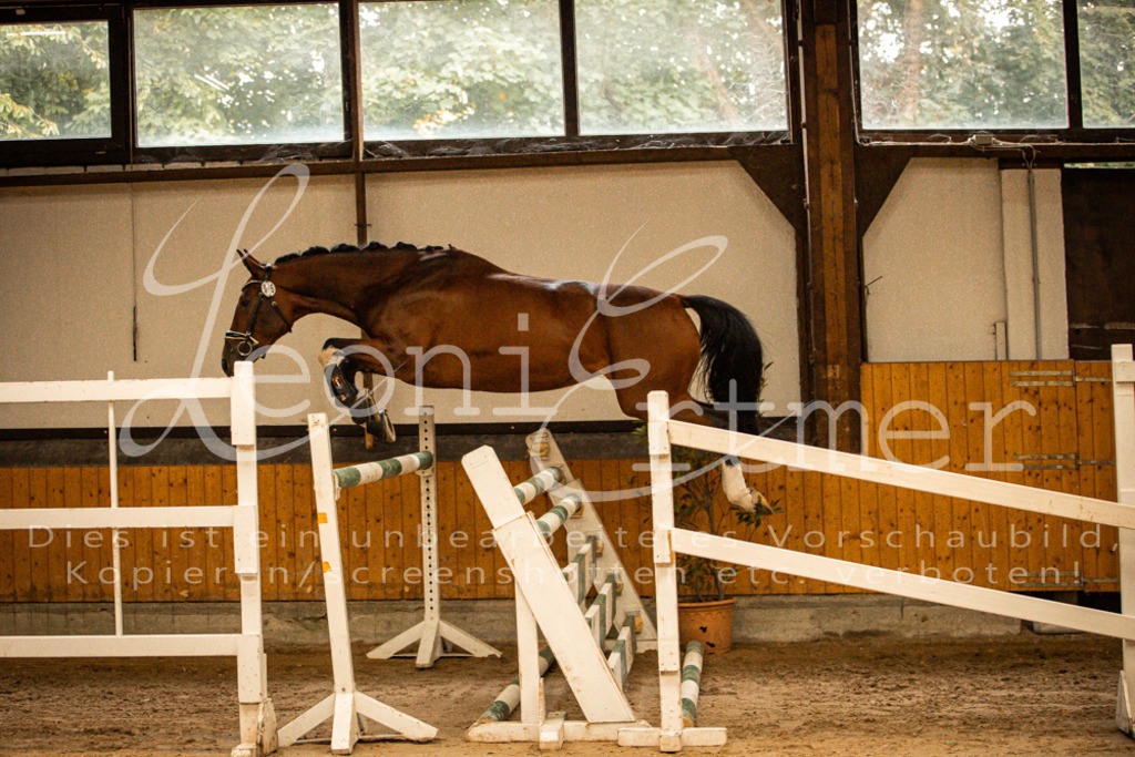 2FS_L00029 | Leoni Ertmer Photography - Realisiert mit Pictrs.com